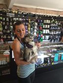 Starbuds - Kirkland Website