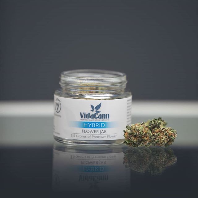 VidaCann - Tampa Website