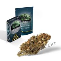 Mary Moonlight Website