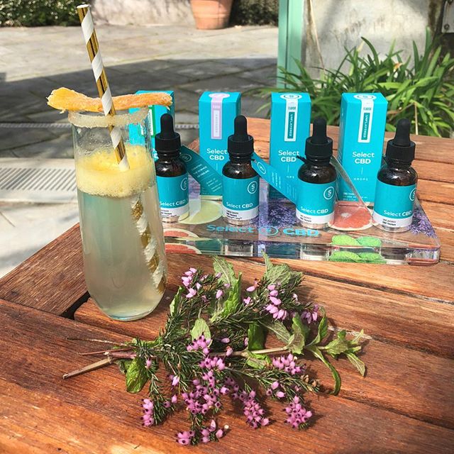 Mission Organic Center Website