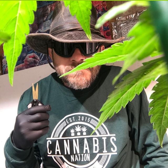 Cannabis Nation Seaside Website