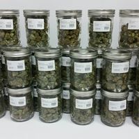 Herbs 4 You Website