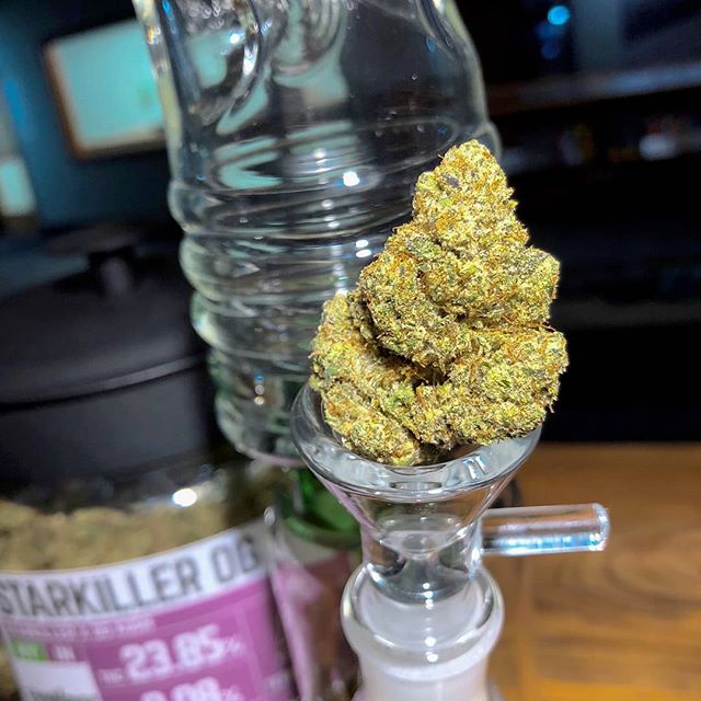 Five Zero Trees East Website