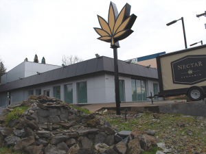 Nectar - Milwaukie Website