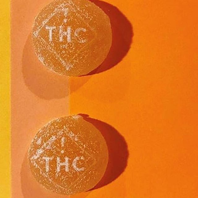 Starbuds Aurora Website