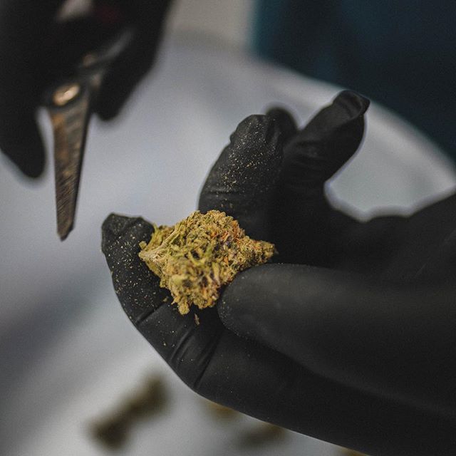 Cultivate Recreational Website