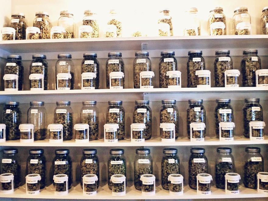 Earth's Healing North Website