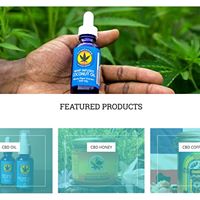 Hemptation Website