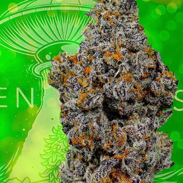 Canopy Health and Wellness Website