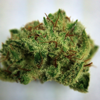 MassRoots Inc. Website