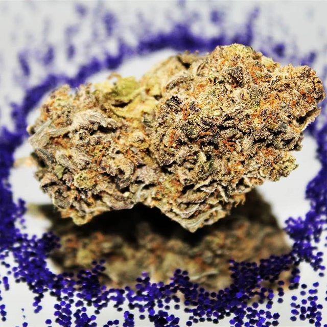 The Agrestic North Website