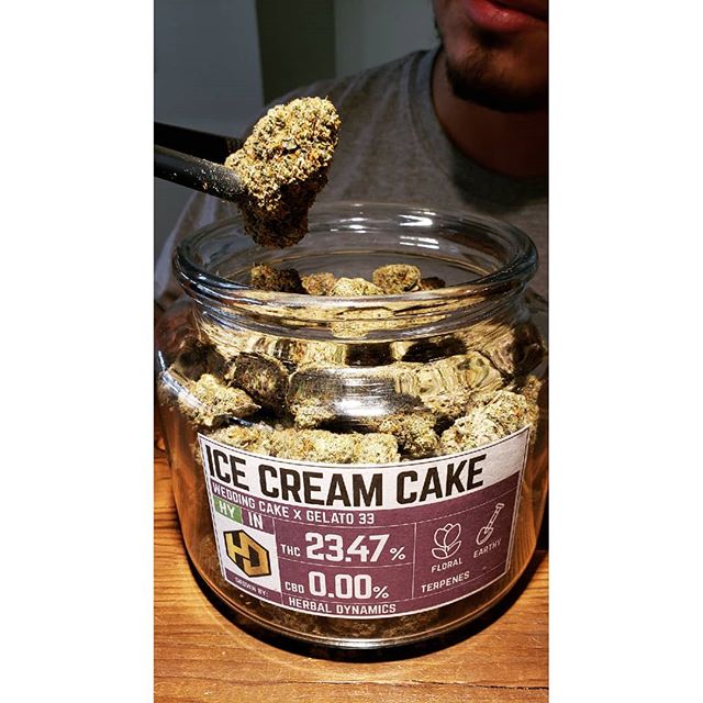 Five Zero Trees East Website