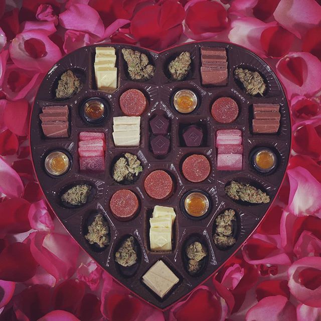 Trees Waterfront Website