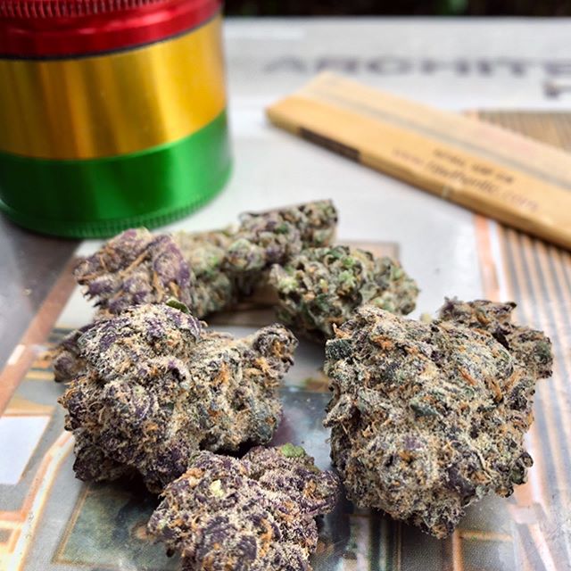 Canopy Health and Wellness Website