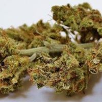 Best Buds Delivery Website