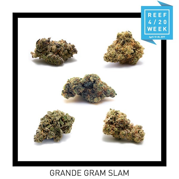 Reef Dispensaries - Queen Creek, AZ Website