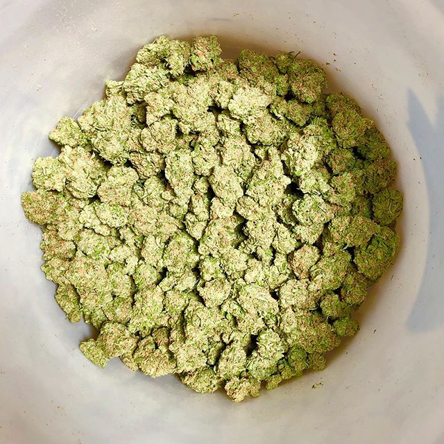 Everest Apothecary - Northeast Heights Website