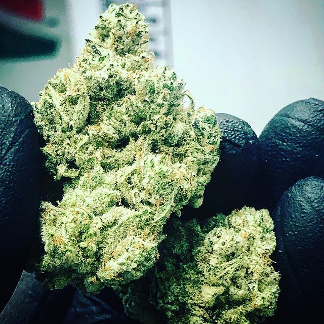 Northeast Alternatives - Medical Website