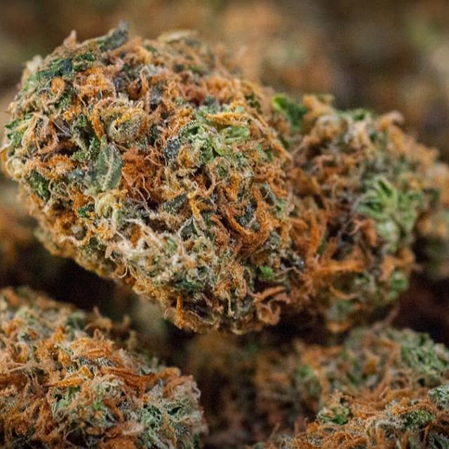 Smokey's 420 House - Fort Collins Website