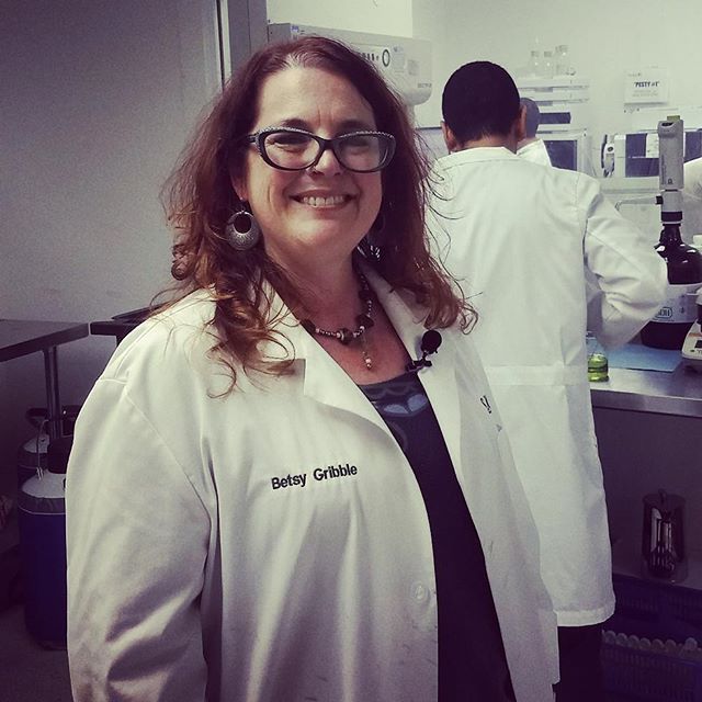 The Sequoyah Group, LLC Website