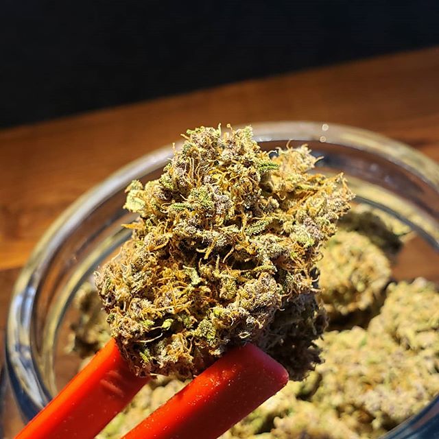 Five Zero Trees Dekum Website