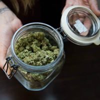 Best Buds Delivery Website