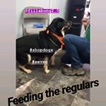 Fillabong - Silverdale Website