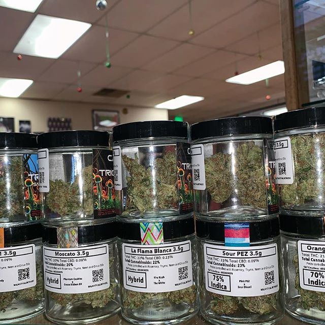 Kush21 - Pullman Website