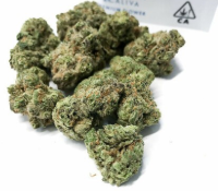 The Green Man Website