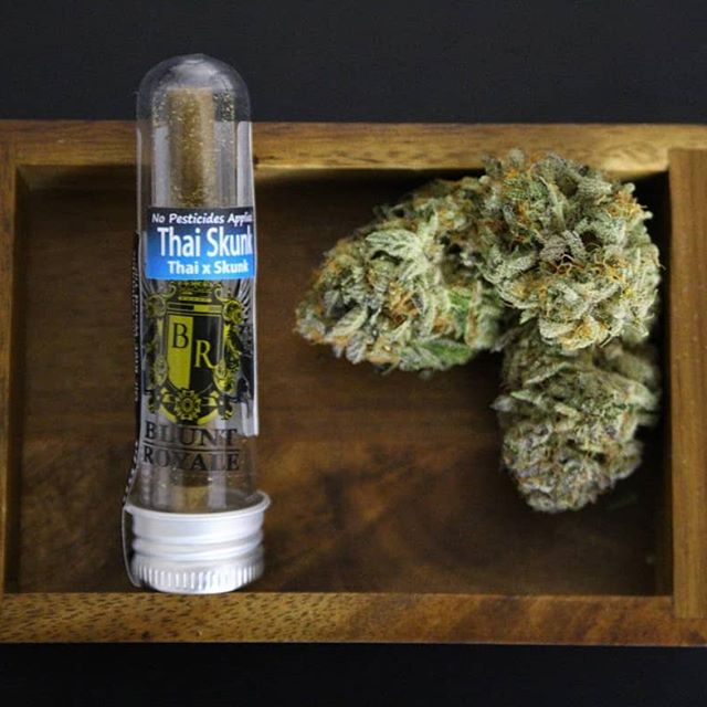 Origins - West Seattle Website