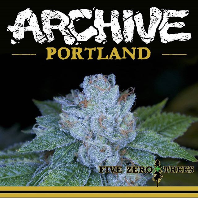 Five Zero Trees Cannon Beach Website