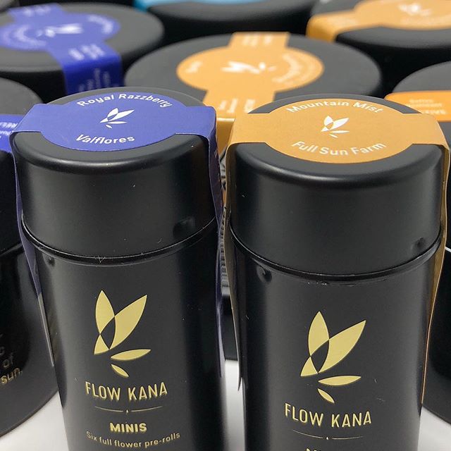 Dixon Wellness Website