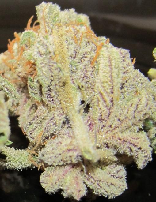 Silhouettes Services - Oregon City Website