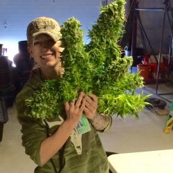 Santé - Durango Website