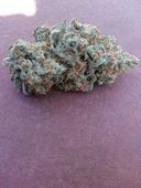 Silhouettes Services - Oregon City Website