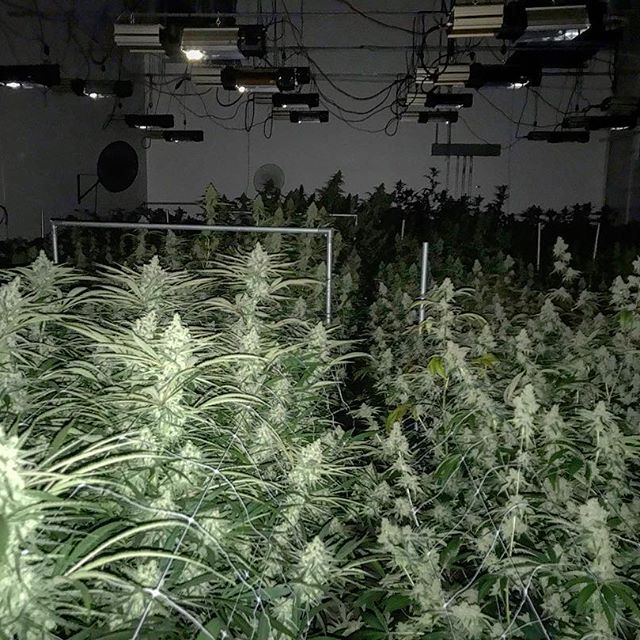 Spark1 - Missoula Website