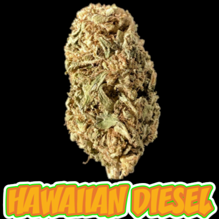 Healthy Greens Delivery Website