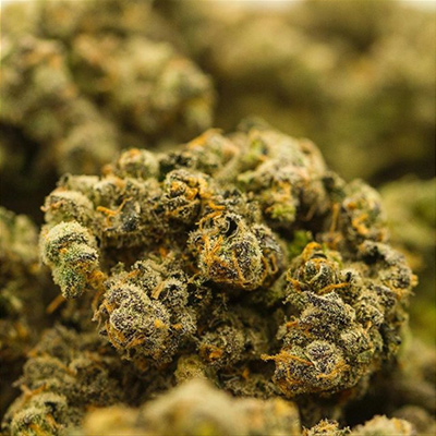 Level Up Powered by MedMen Website