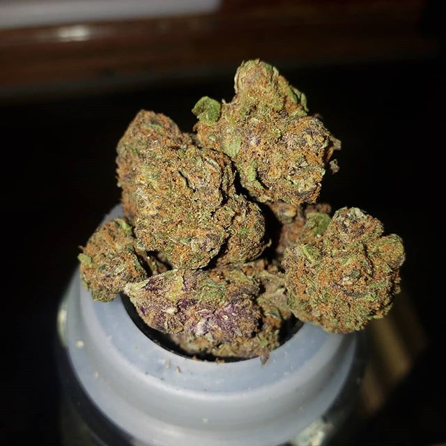 Stone Age Pharmacy Los Angeles Website