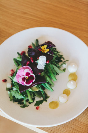 Mt Hood Cannabis Co. Website