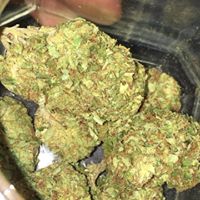 LoudPack Farms Website