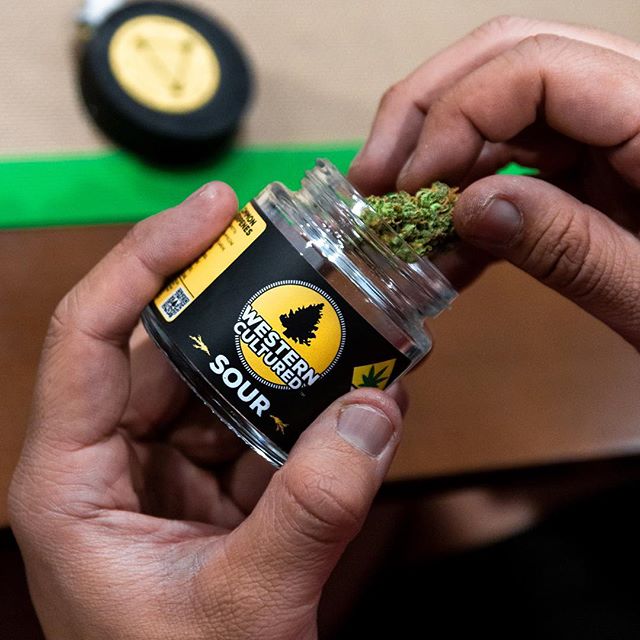 Cinder - Spokane Valley Website