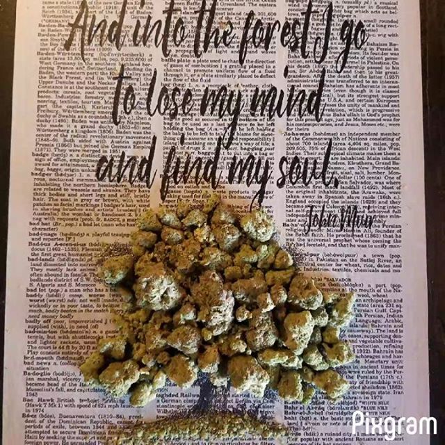 Nature's Medicines - Phoenix Website