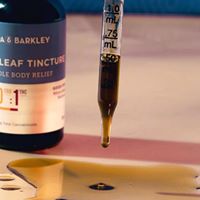 Papa and Barkley Website