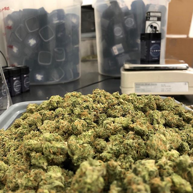 Revolutionary Clinics - Fresh Pond Website