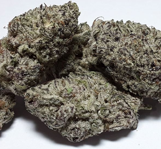 Green Envy Collective Website