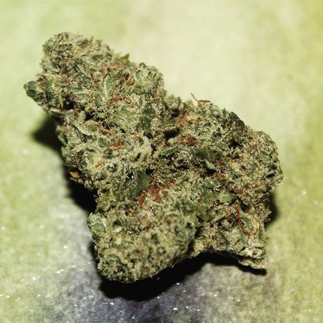 The Agrestic North Website