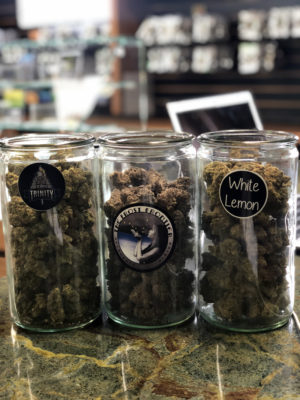 Alaska's Green Light District Website