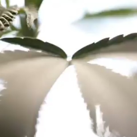 HPRC - Arcata Website