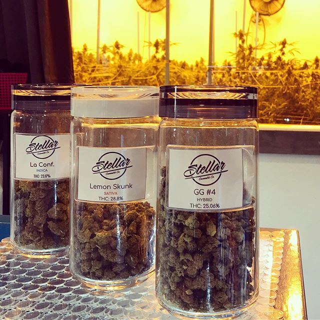 Stellar Cannabis Co. Website